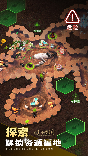 小小蚁国官方版