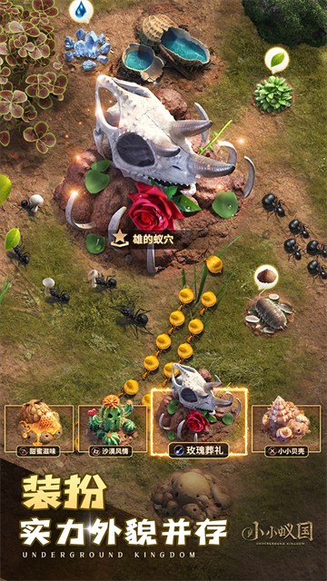 小小蚁国官方版