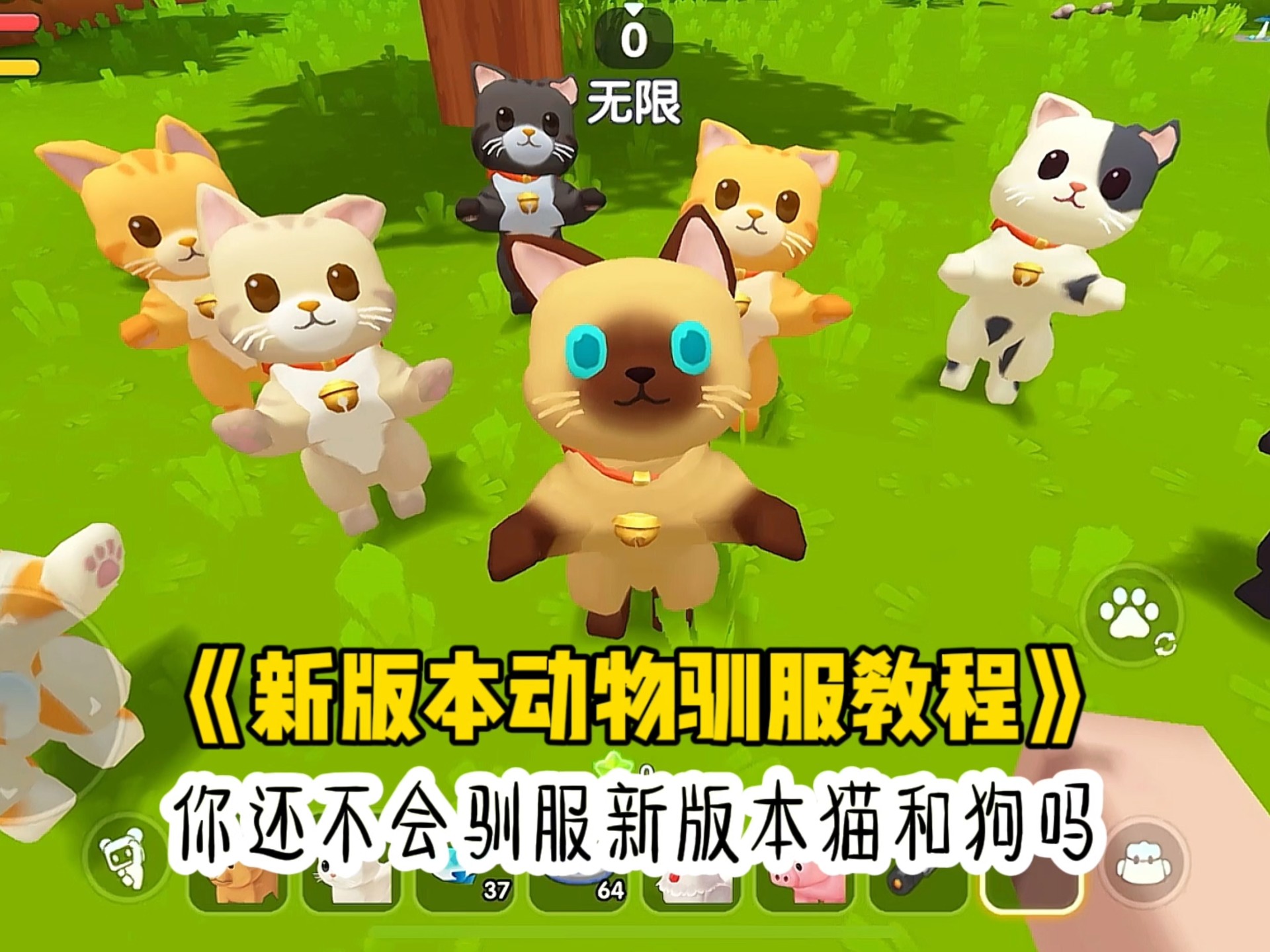 迷你世界怎么驯服狗和猫？迷你世界动物驯服教程新版