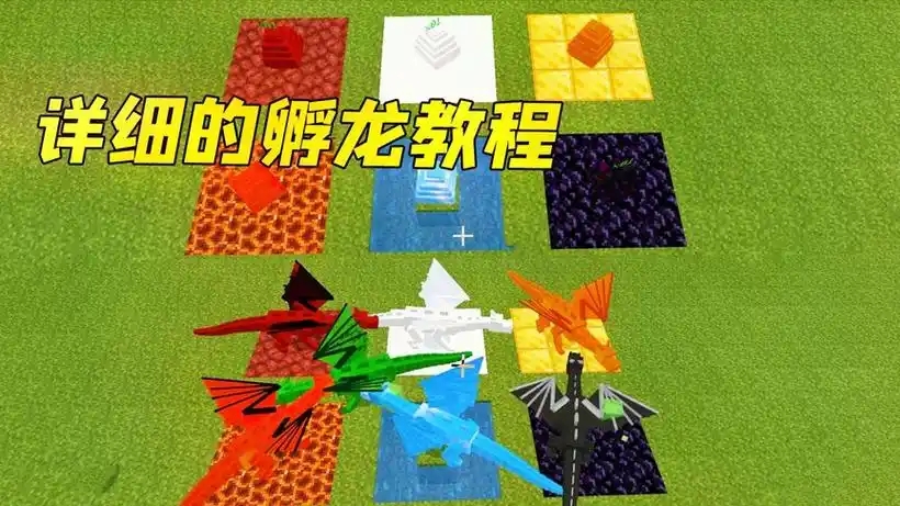 我的世界龙蛋怎么孵化？我的世界龙蛋孵化教程