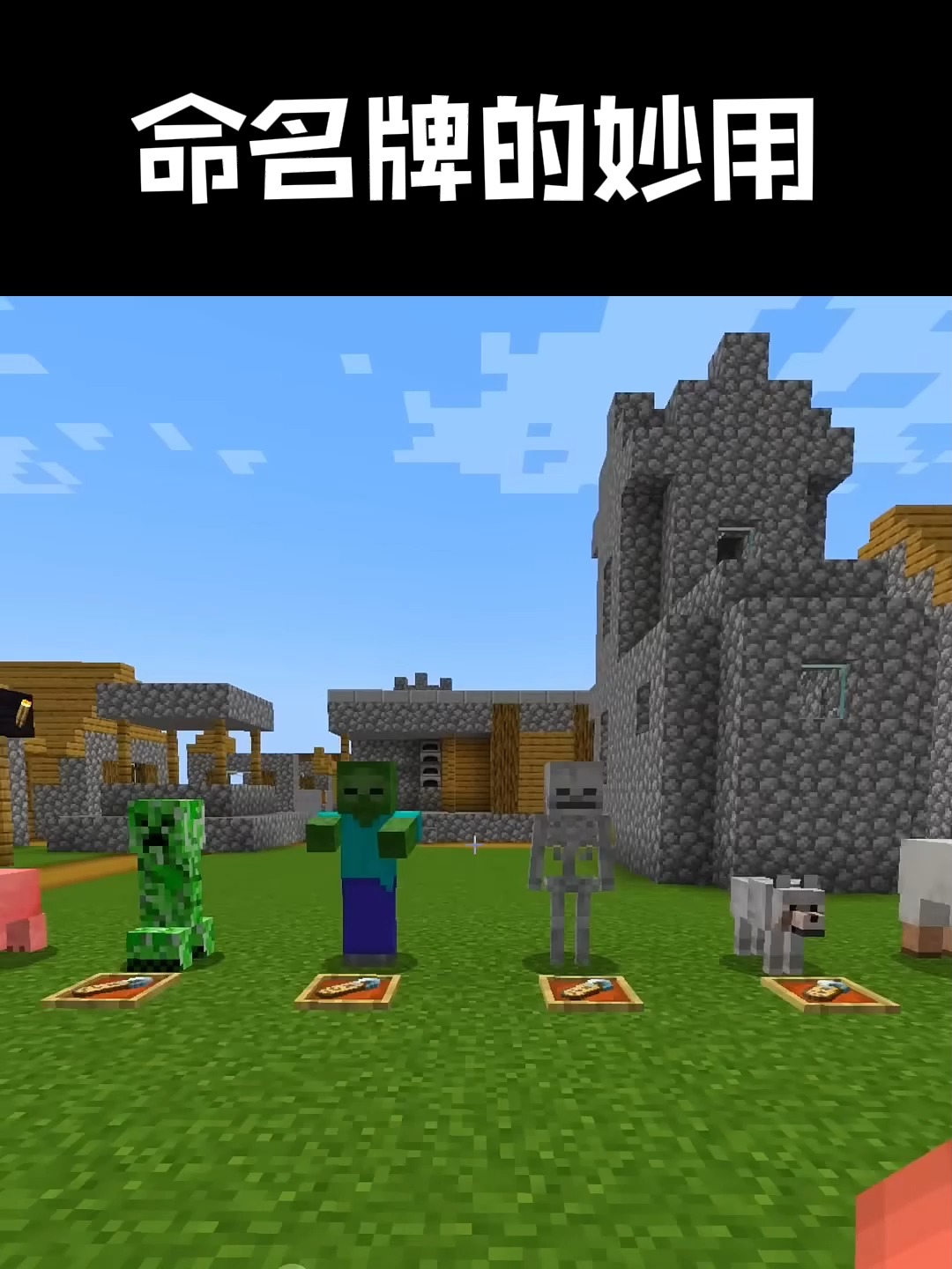 我的世界命名牌怎么用？我的世界命名牌使用方法