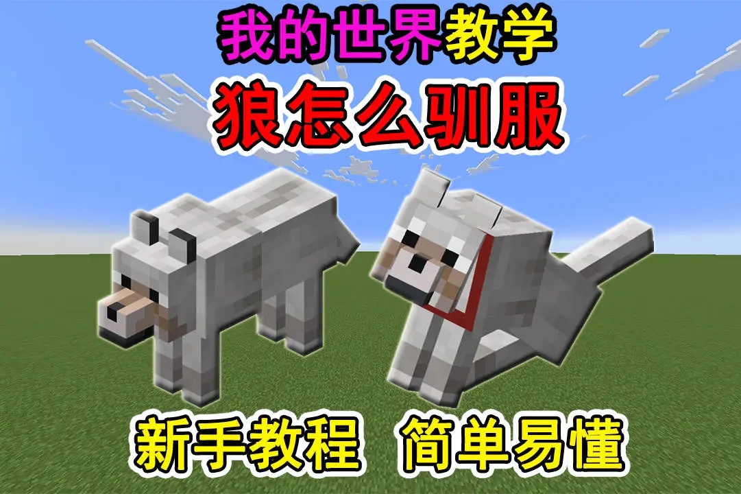我的世界狼怎么驯服？我的世界驯服狼的方法