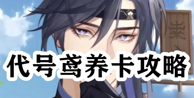 代号鸢养卡攻略-代号鸢角色强度排行