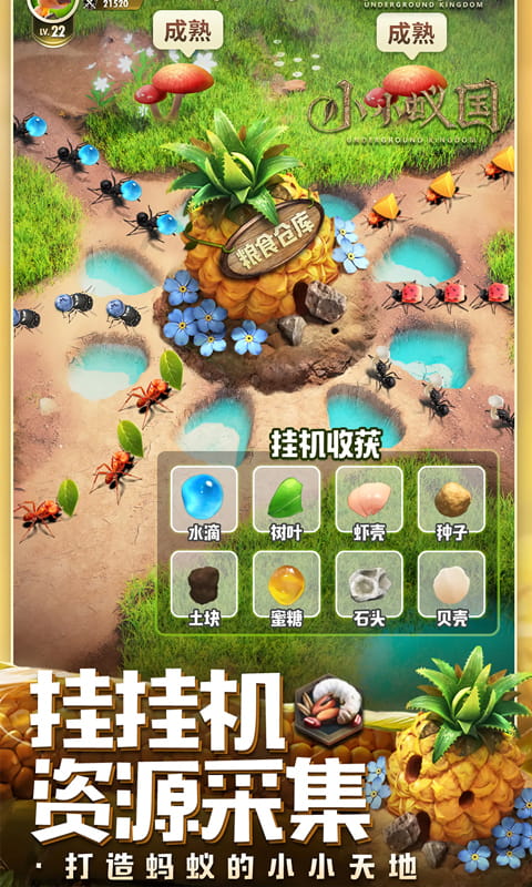 小小蚁国(极速发育版)