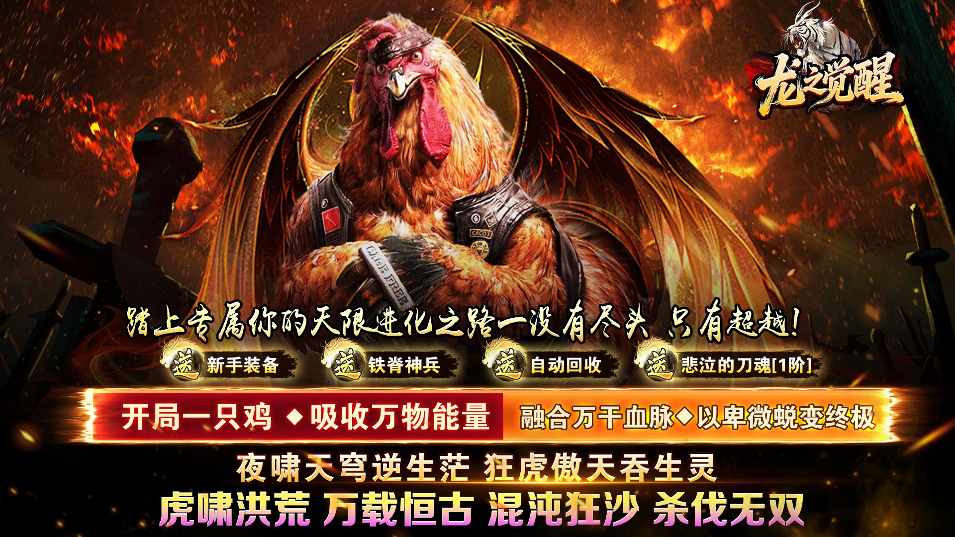 龙之觉醒（虎噬怪物爆爆爆）单日大额豪礼