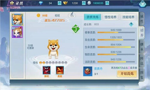 灵兽养成攻略截图1