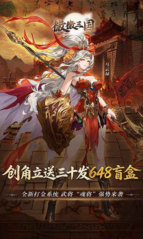 微微三国（0.05折打金版）