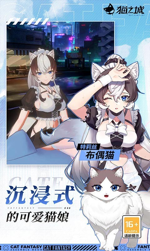 猫之城