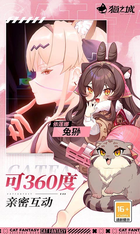 猫之城