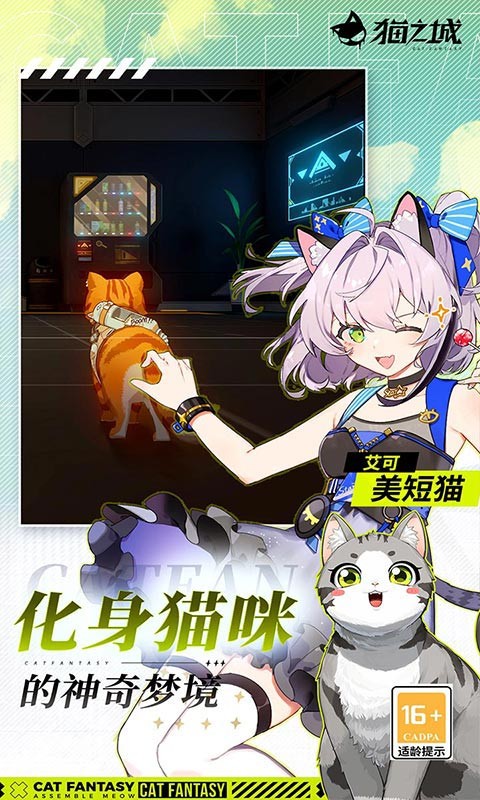 猫之城